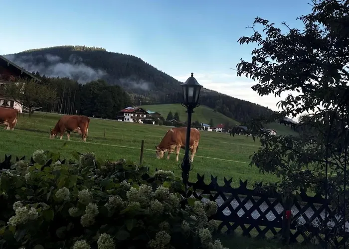 Bader Haeusl - Chiemgau Karte Daire Inzell