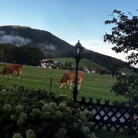 Bader Haeusl - Chiemgau Karte Apartamento Inzell